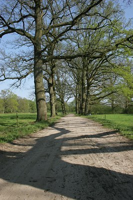 BUITEN BEELD Foto: 21103