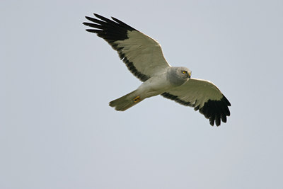 BUITEN BEELD Foto: 21171