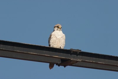 BUITEN BEELD Foto: 21185
