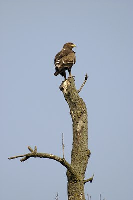 BUITEN BEELD Foto: 21188