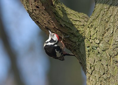 BUITEN BEELD Foto: 21217