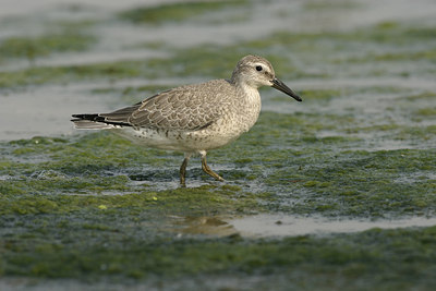 BUITEN BEELD Foto: 21250