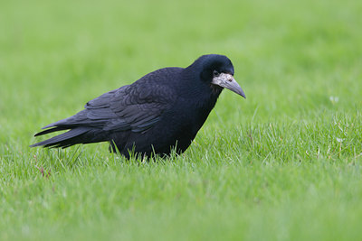 BUITEN BEELD Foto: 21258