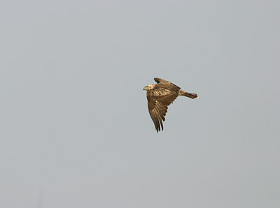 BUITEN BEELD Foto: 21277