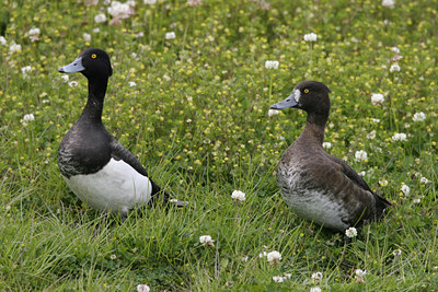 BUITEN BEELD Foto: 21309