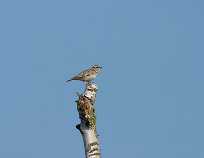 BUITEN BEELD Foto: 21325