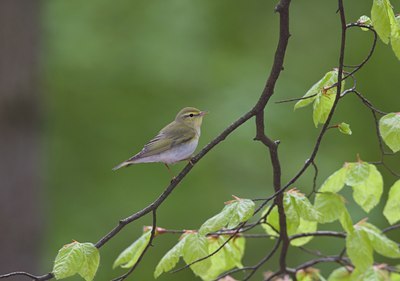 BUITEN BEELD Foto: 21331