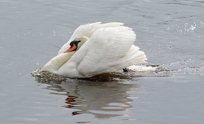 BUITEN BEELD Foto: 21372