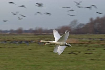 BUITEN BEELD Foto: 21411