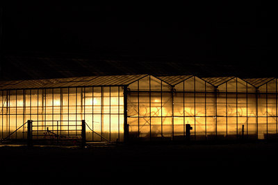 BUITEN BEELD Foto: 21432