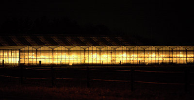 BUITEN BEELD Foto: 21433