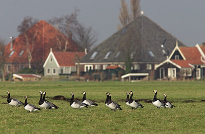 BUITEN BEELD Foto: 21436