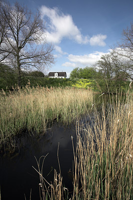 BUITEN BEELD Foto: 21444