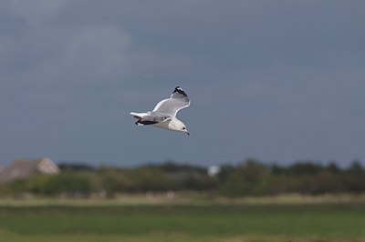BUITEN BEELD Foto: 21479