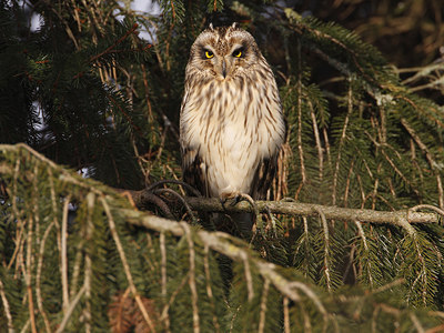 BUITEN BEELD Foto: 21490