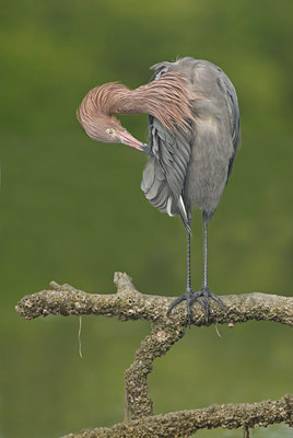 BUITEN BEELD Foto: 21500