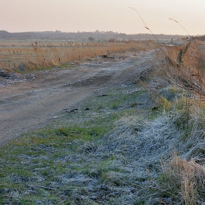 BUITEN BEELD Foto: 21572