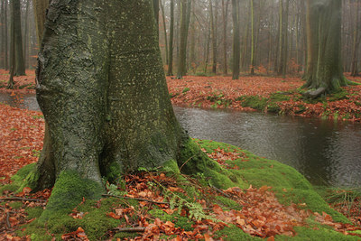 BUITEN BEELD Foto: 21582