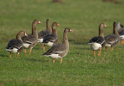 BUITEN BEELD Foto: 21604