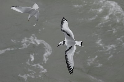 BUITEN BEELD Foto: 21615