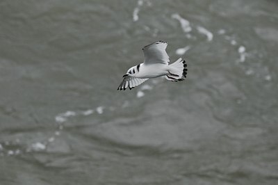 BUITEN BEELD Foto: 21617