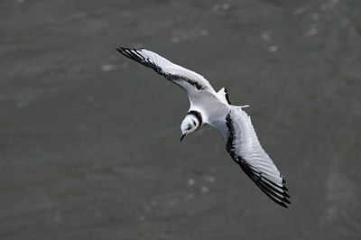 BUITEN BEELD Foto: 21625