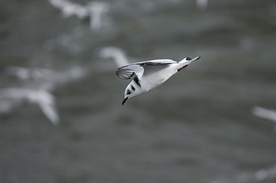 BUITEN BEELD Foto: 21627