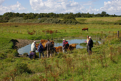 BUITEN BEELD Foto: 21732
