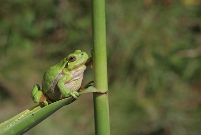 BUITEN BEELD Foto: 21749
