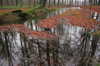 BUITEN BEELD Foto: 21900