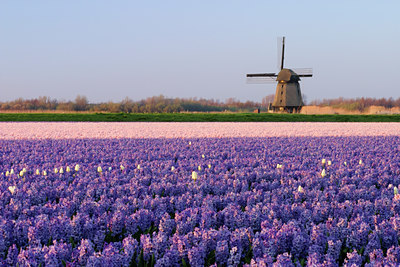 BUITEN BEELD Foto: 21928