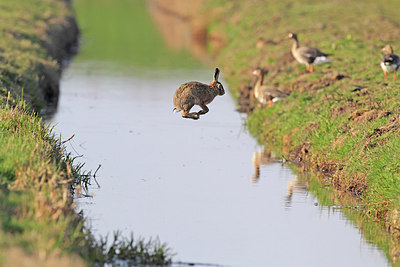 BUITEN BEELD Foto: 219021