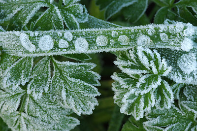 BUITEN BEELD Foto: 219044
