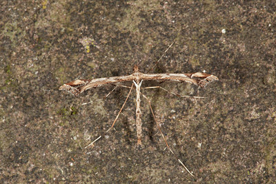 BUITEN BEELD Foto: 219053