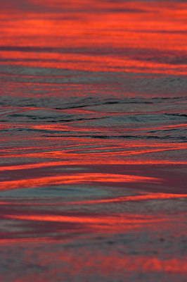 BUITEN BEELD Foto: 219068