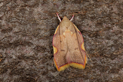 BUITEN BEELD Foto: 219203
