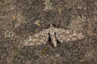 BUITEN BEELD Foto: 219210