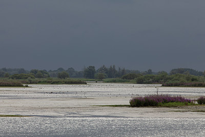 BUITEN BEELD Foto: 219240