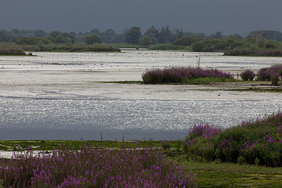 BUITEN BEELD Foto: 219241