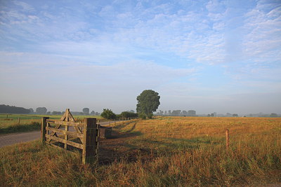 BUITEN BEELD Foto: 219403