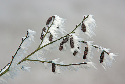 BUITEN BEELD Foto: 219600