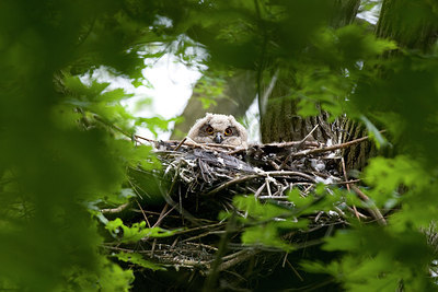 BUITEN BEELD Foto: 219607