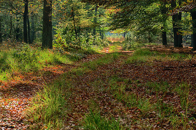 BUITEN BEELD Foto: 219617