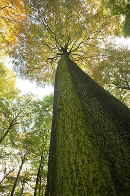 BUITEN BEELD Foto: 219618