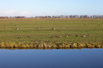 BUITEN BEELD Foto: 219843