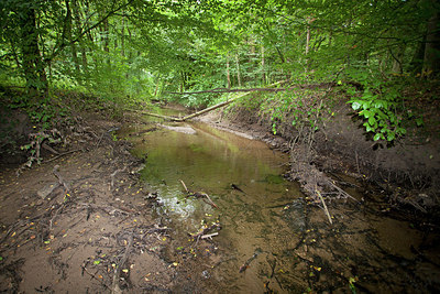 BUITEN BEELD Foto: 219850