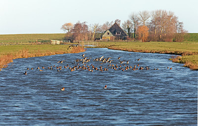 BUITEN BEELD Foto: 219851