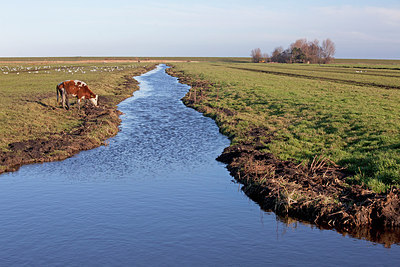 BUITEN BEELD Foto: 219852