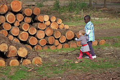 BUITEN BEELD Foto: 219877