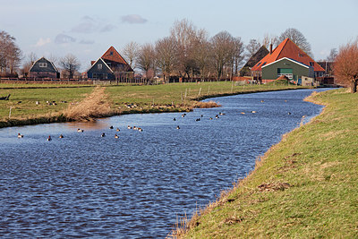 BUITEN BEELD Foto: 219884